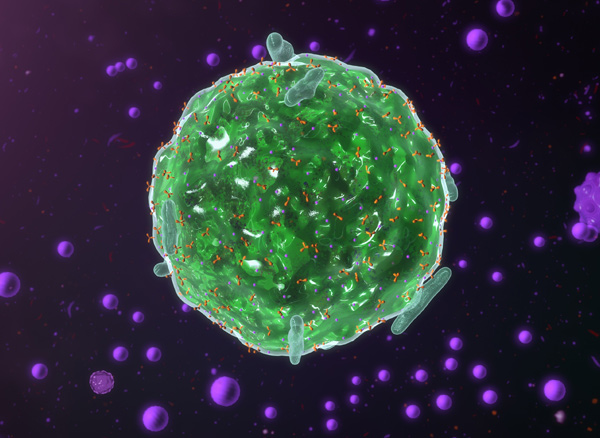 mast cells triggered by toxins or pathogens