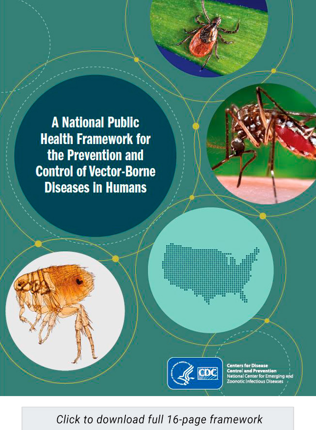 The Kay Hagan Tick Act adopts a national strategy for Lyme disease