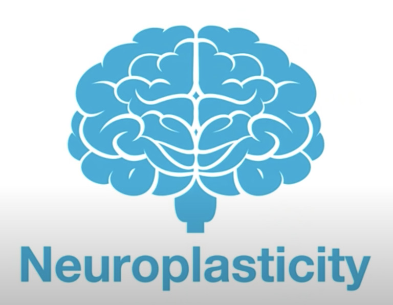 neuroplasticity