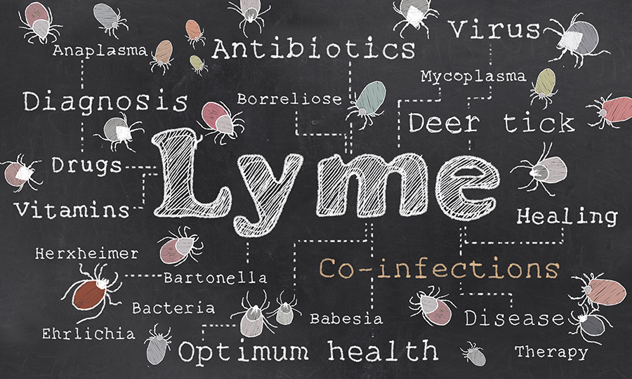 Routinely test for Bartonella, Babesia, Anaplasma/Ehrlichia and Borrelia miyamotoi