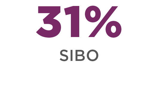 31% sibo