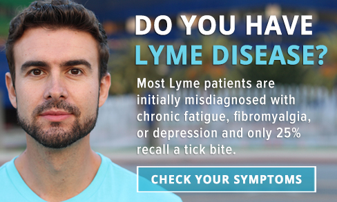 Check Your Lyme Disease Symptoms