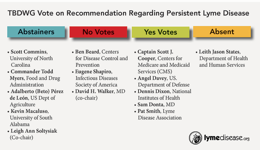 Votes on recommendation regarding persistent Lyme disease