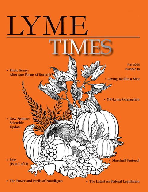 LymeTimes Fall 2006 Issue