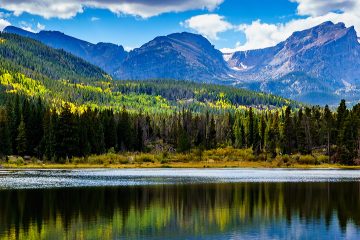 Elevating Tick Awareness in Colorado