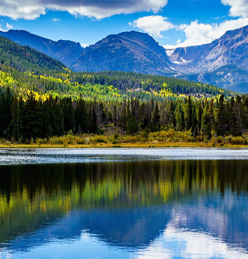 Elevating Tick Awareness in Colorado