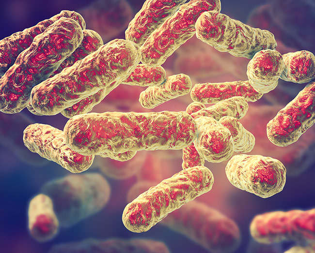 Bartonella or Bartonella-Like Organism (BLO) Symptom Patterns