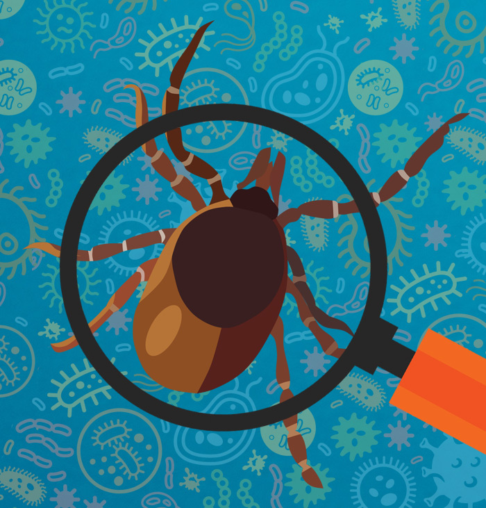 Developing New Tests to Identify Tick-Borne Pathogens