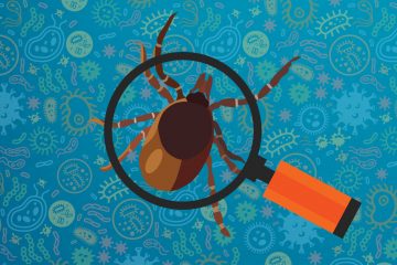 New Tests to Identify All Bacteria in Ticks