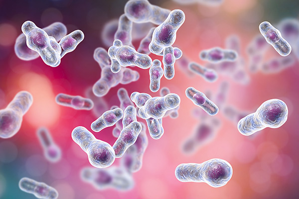 Clostridium difficile bacteria