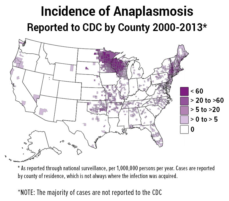Incidence of Anaplasmosis