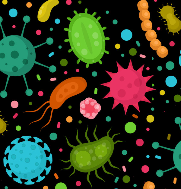 An Alphabet Soup of Co-Infections Complicates Diagnosis and Treatment of Lyme Disease