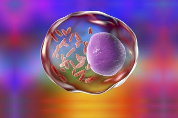 Rickettsial Infections