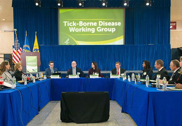 Tick-borne working group meeting