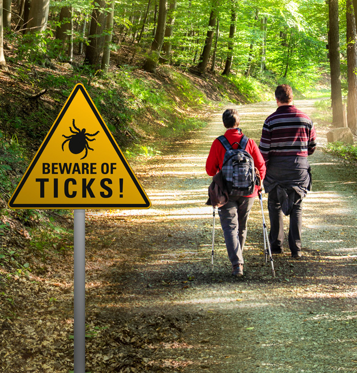 Venturing out? Watch for ticks