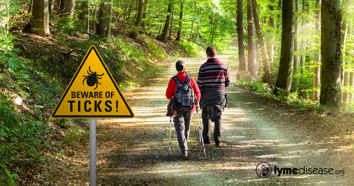 Venturing out? Watch for ticks to protect yourself against Lyme disease
