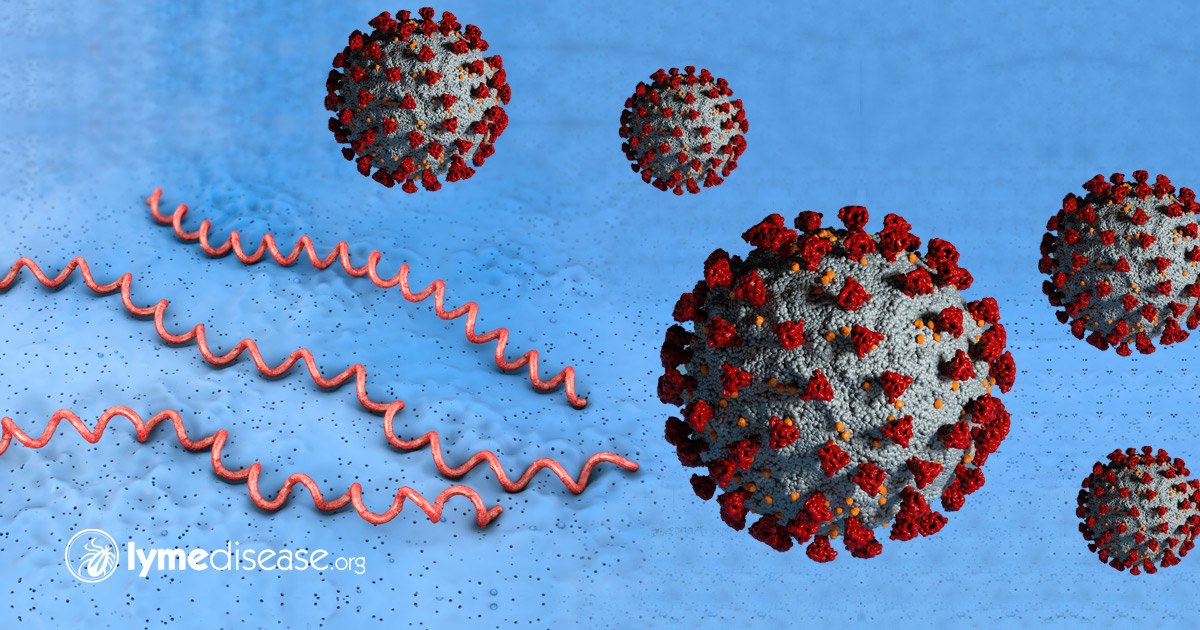 Lyme Disease Symptoms Could be Mistaken for COVID19, with Serious