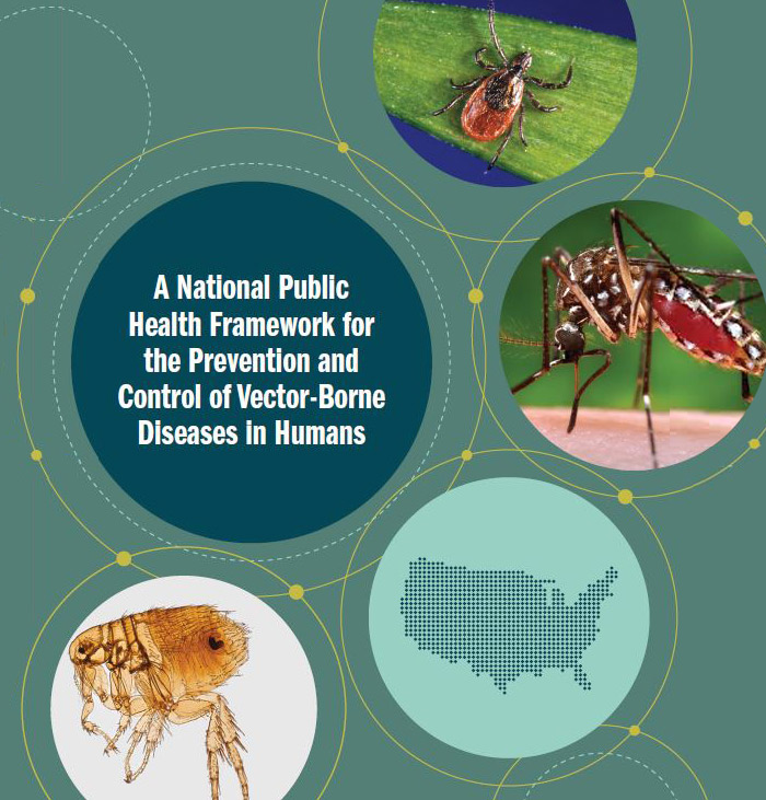 Feds Adopt National Strategy for Vector-Borne Diseases
