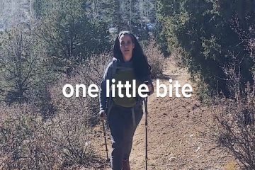 Lyme Video -,One Little Bite