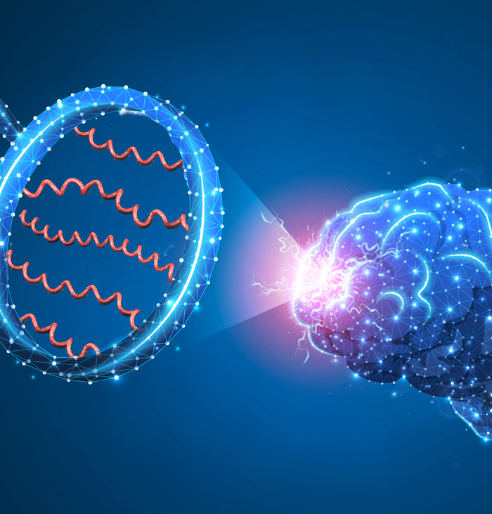 Lyme Spirochetes in an Autopsied Brain (Despite Treatment)