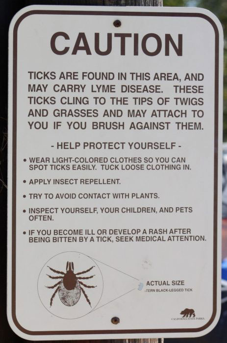 Ticks on California beaches