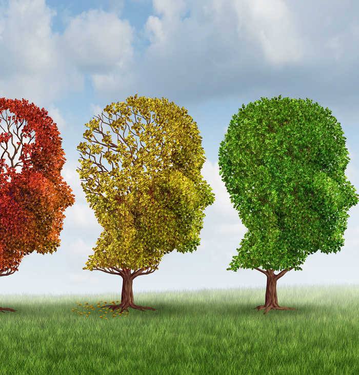 Could an Eighty-Year-Old Drug Cure Alzheimer’s Disease?