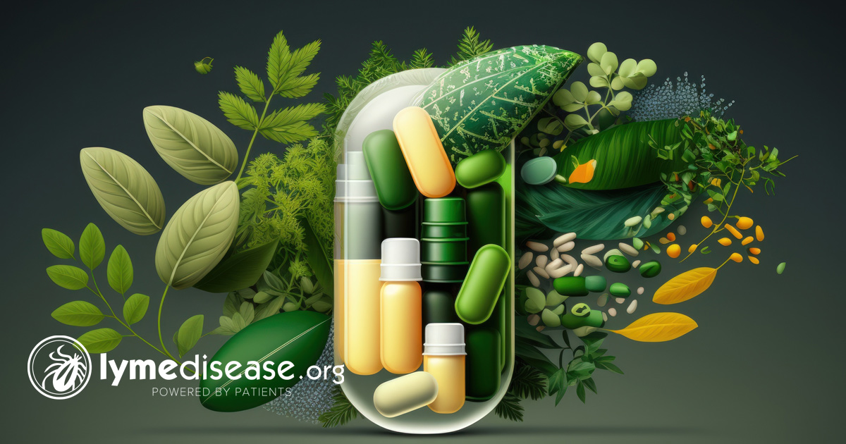 Natural Remedies For The Chronic Inflammation Of Lyme Disease By Dr natural-remedies-for-the-chronic-inflammation-of-lyme-disease-by-dr