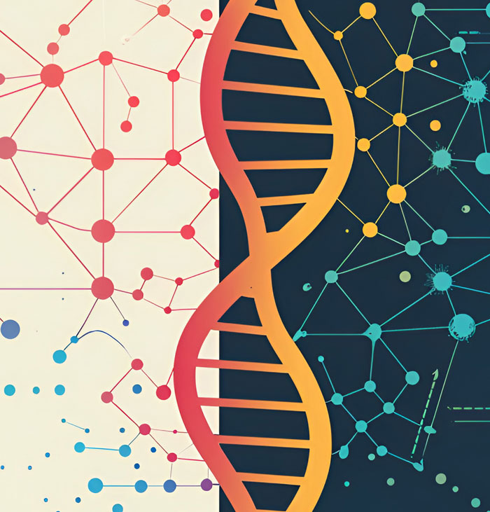 Biologists map the DNA of 47 strains of Lyme disease