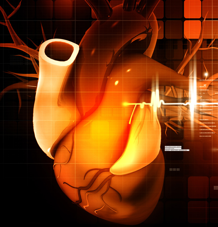 In Lyme carditis, spirochetes disrupt the heart’s electrical system