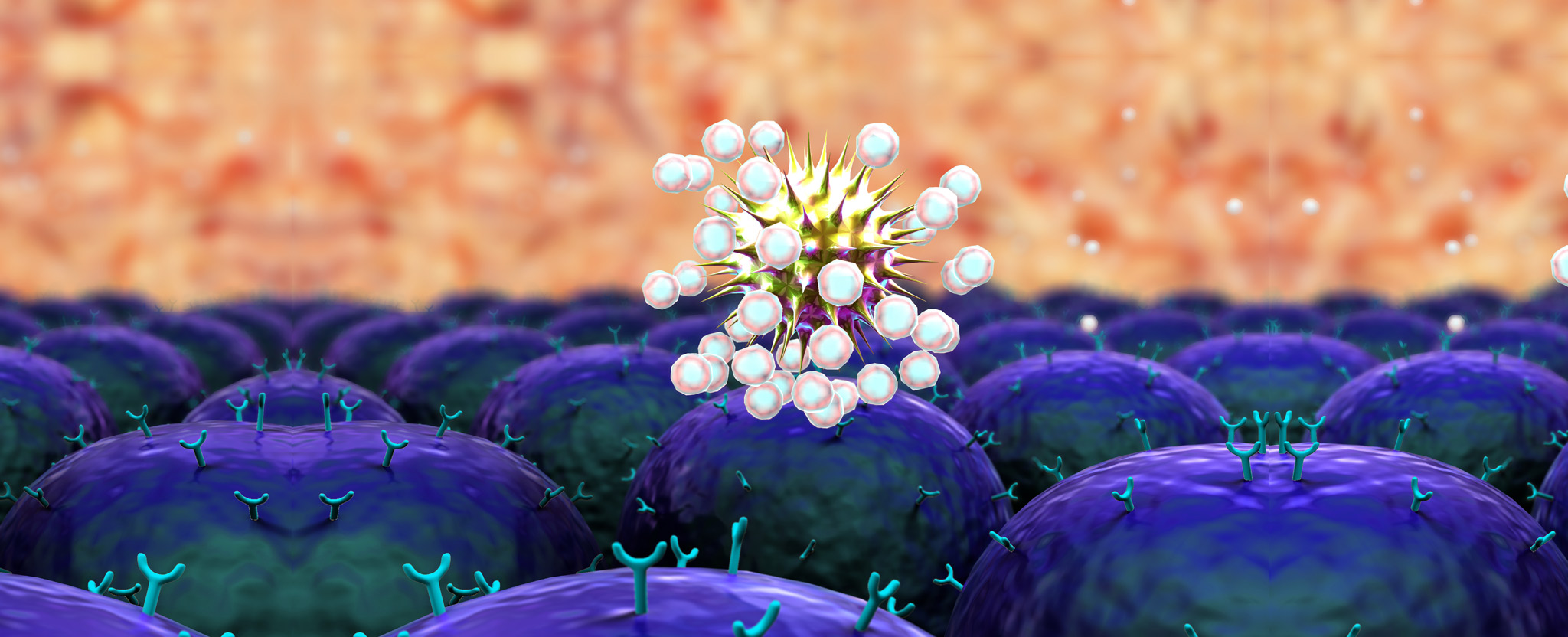 How Do These Mast Cells Get So Dysregulated?