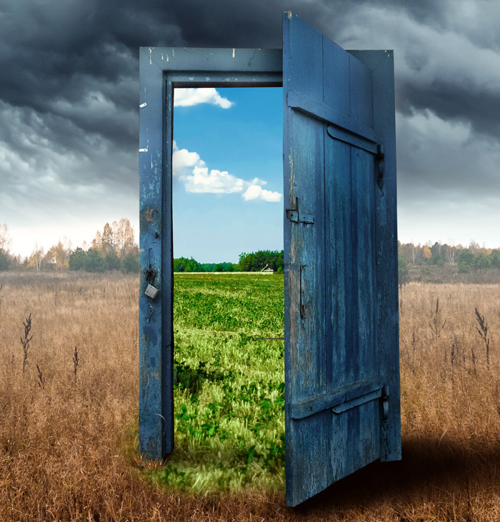 Lyme Stole My Health — Occupational Therapy Helped Me Get It Back