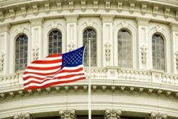 US capitol windows