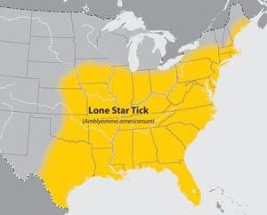 https://www.lymedisease.org/wp-content/uploads/2013/06/lone-star-map-300x242.jpg