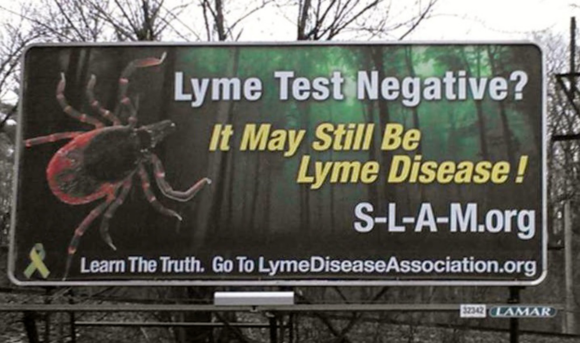 Lyme Disease Awareness Month