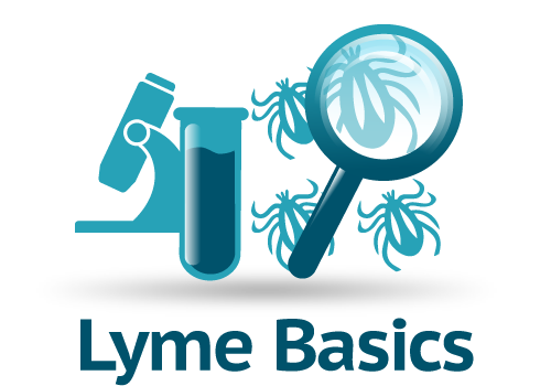 Lyme Basics