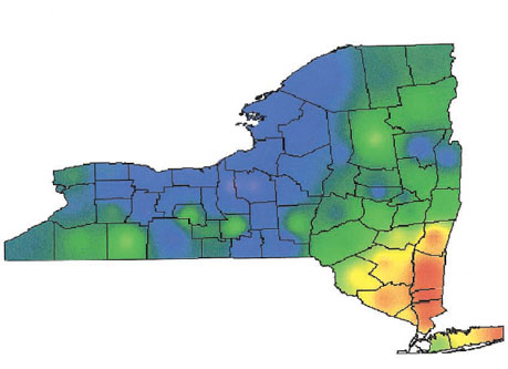 Https Www Health Ny Gov Diseases Communicable Lyme Working Group Docs Ticks And Tick Borne Disease In Nys Pdf