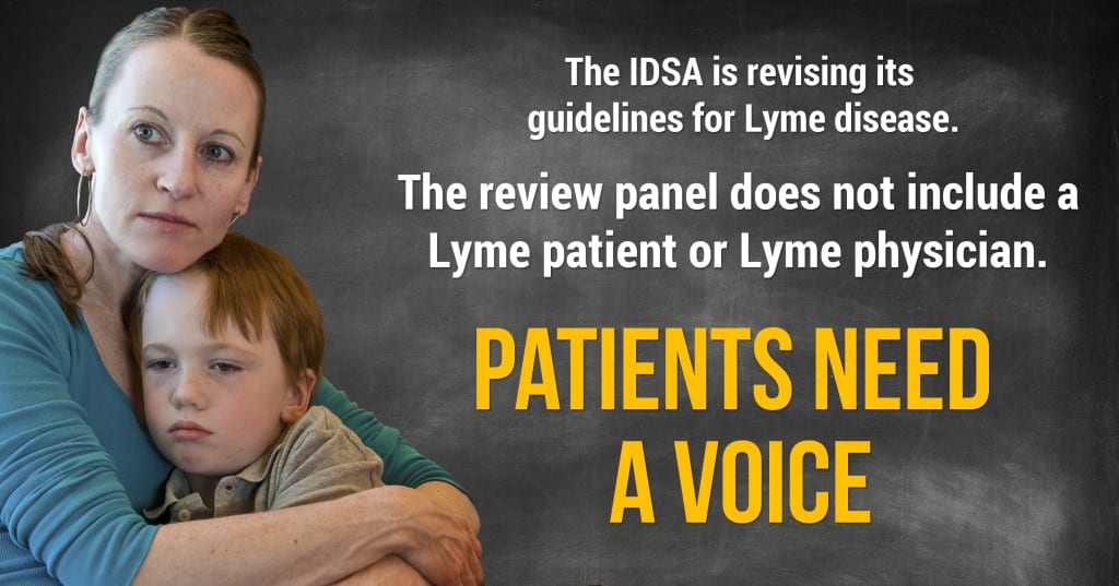 IDSA Lyme guidelines page image