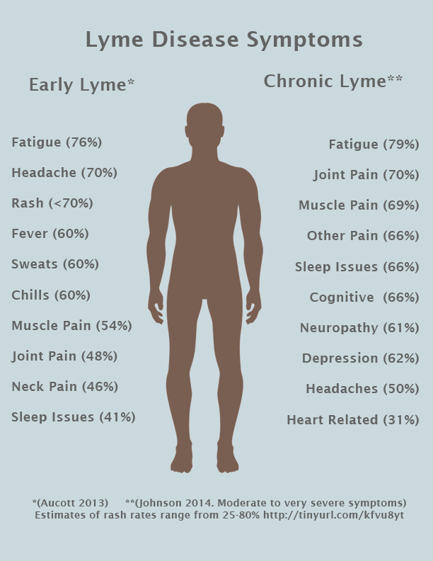 Lyme Co Infections Chart
