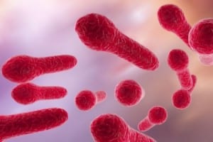 c difficile