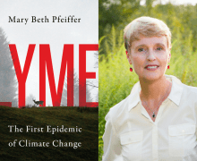 Lyme: the first epidemic of climate change