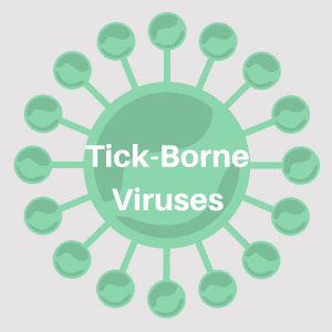 Tick-Borne Viruses