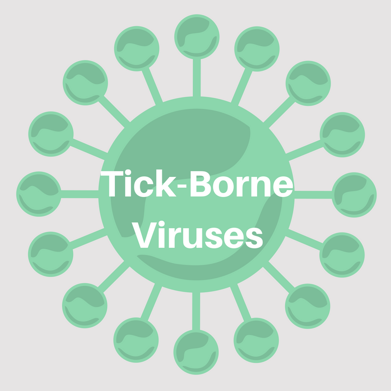 Tick-Borne Viruses