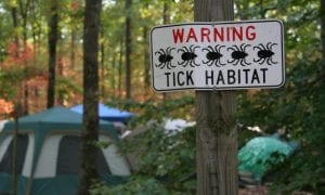 Protecting yourself from ticks starts with knowing where they are and what they do.