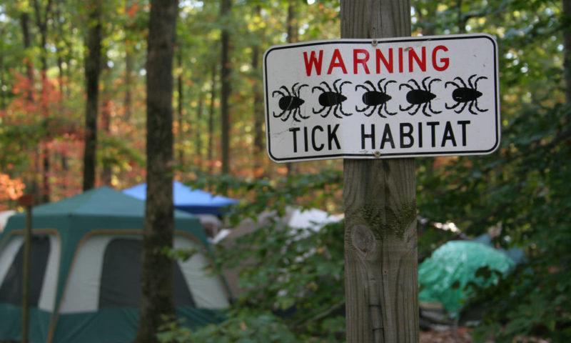 Protecting yourself from ticks starts with knowing where they are and what they do.