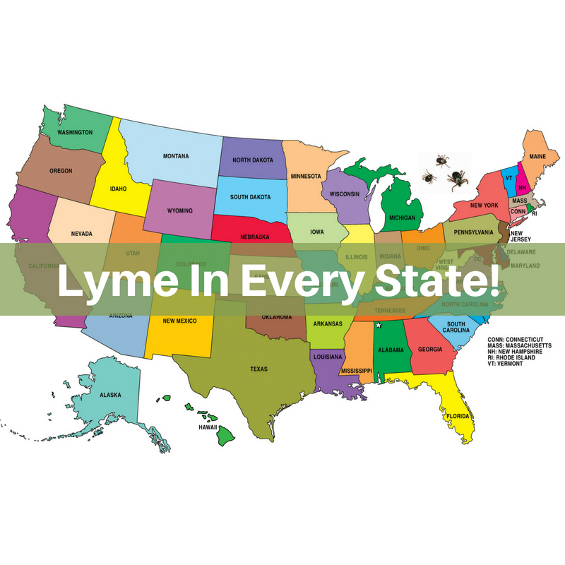 Lyme Sci Lyme Has Been Found In All 50 States And Is On The Rise