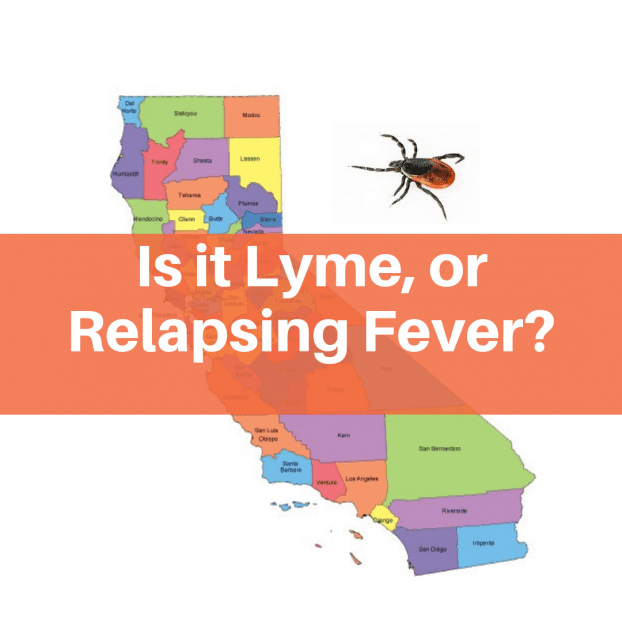 In California, is it Lyme disease or tickborne relapsing fever?