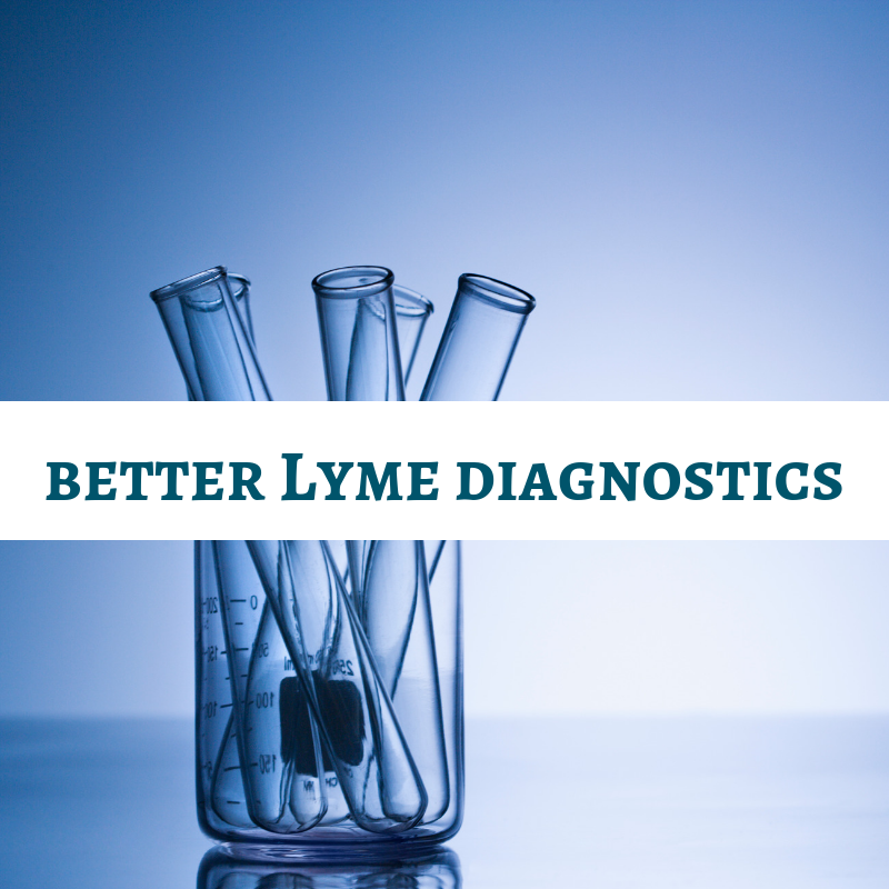 better Lyme diagnostic tests