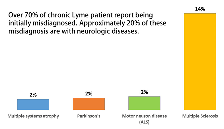 Do antibiotics help patients with Lyme disease who are also diagnosed with MS?