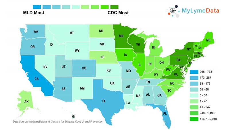 Why Doesn’t the CDC Count Lyme Disease Cases in the South and the West? Everybody Else Does.