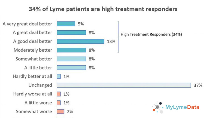 Lyme Disease Treatment Super responders